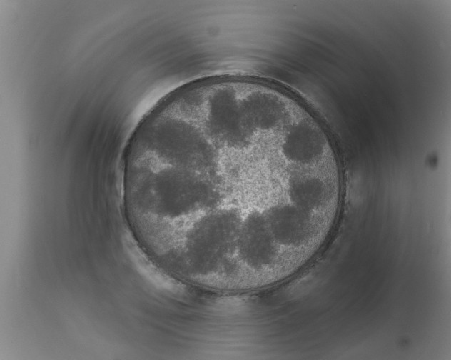 X0000112911078200909071529