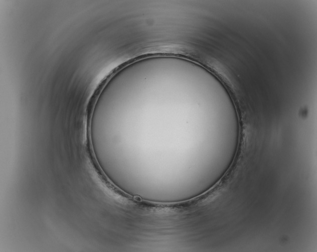 X0000112911079200909071529