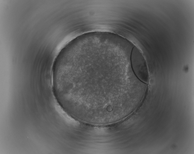 X0000112911080200909071529