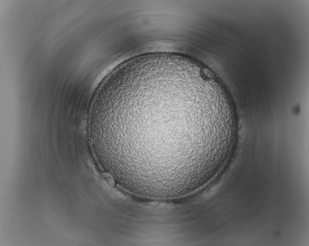 X0000112911081200909071529