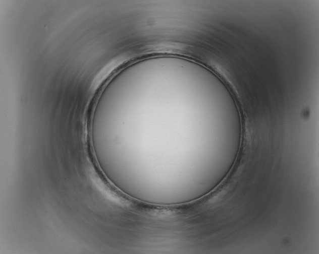 X0000112911082200909071529