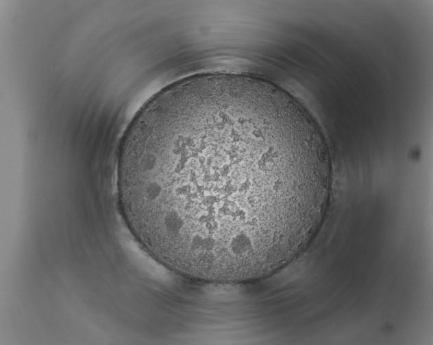 X0000112911083200909071529