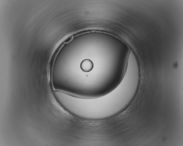 X0000112911084200909071529