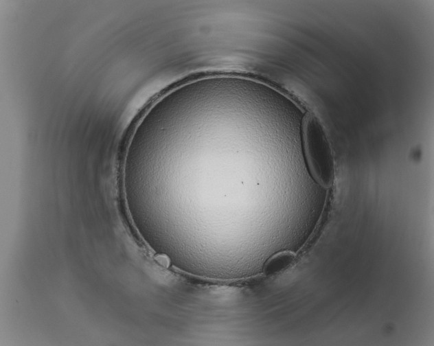 X0000112911085200909071529