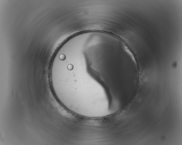 X0000112911086200909071529