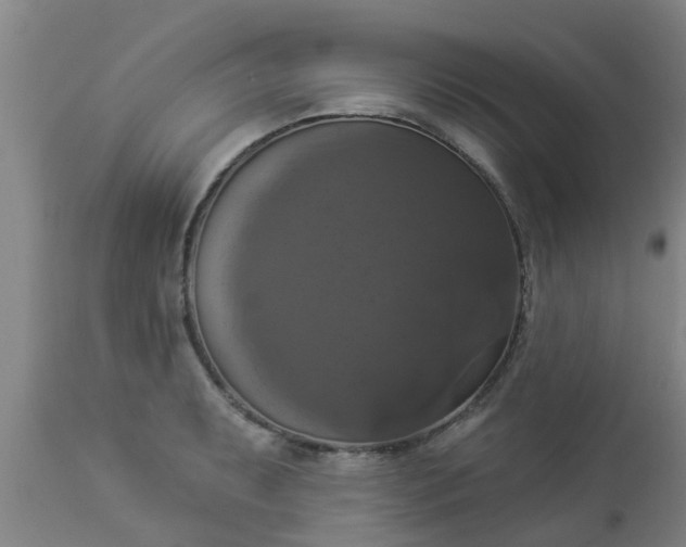 X0000112911087200909071529