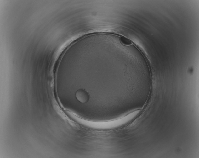 X0000112911088200909071529