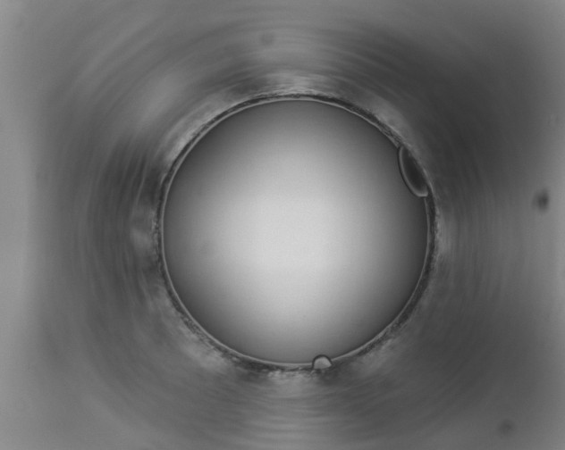 X0000112911089200909071529