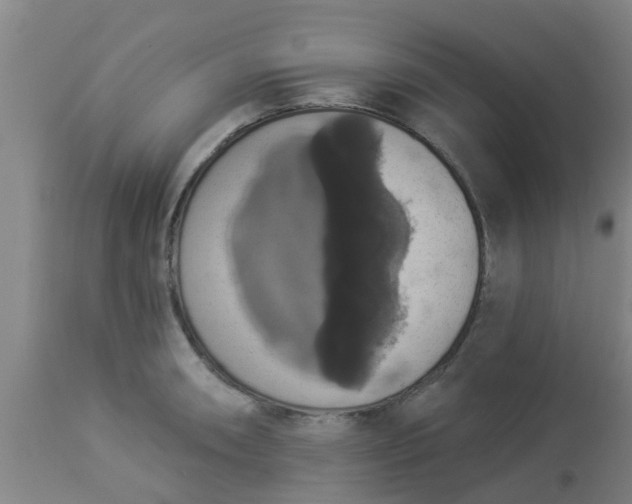 X0000112911090200909071529