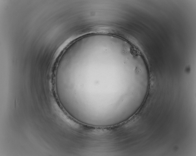 X0000112911091200909071529