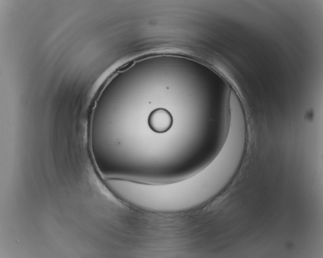 X0000112911092200909071529