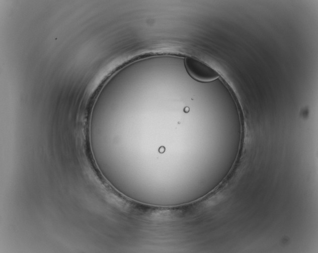 X0000112911093200909071529