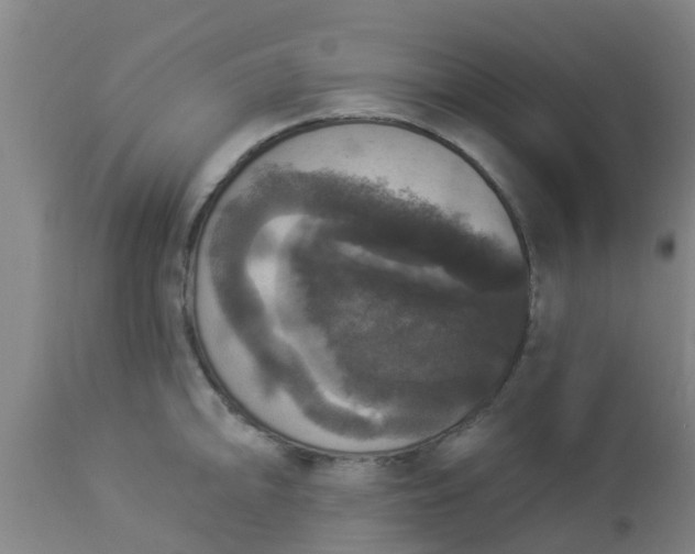 X0000112911094200909071529