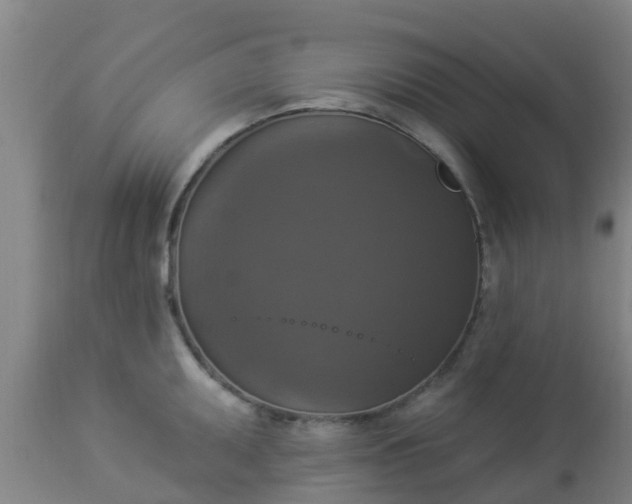 X0000112911095200909071529