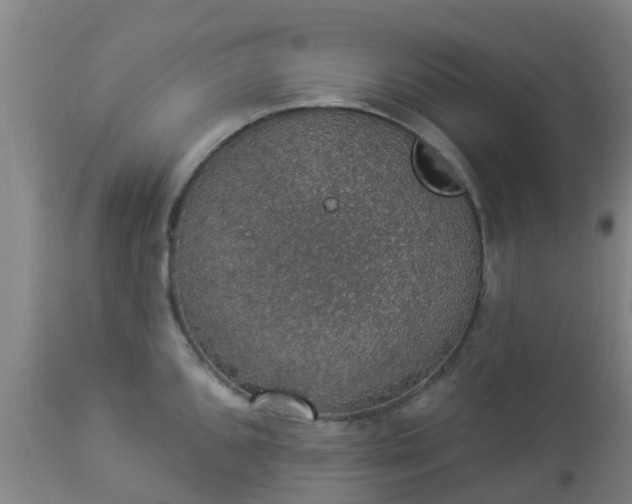 X0000112911096200909071529