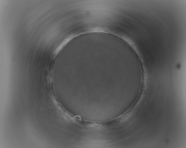 X0000112911097200909071529