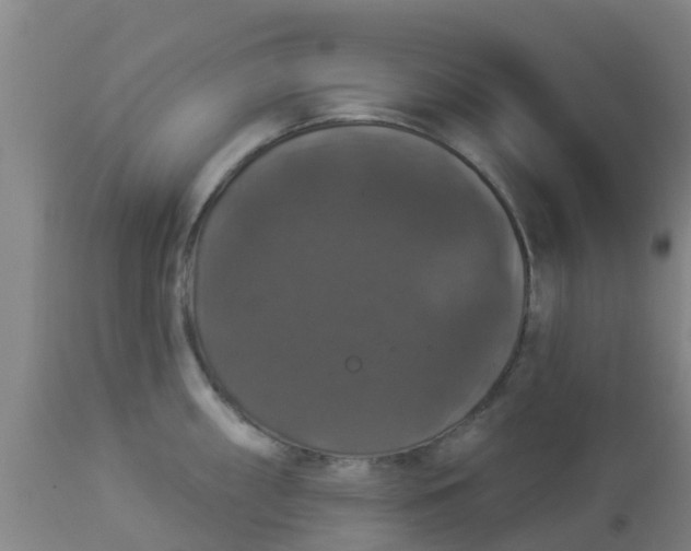 X0000112911098200909071529