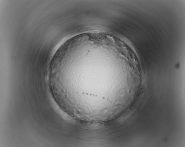 X0000112911099200909071529