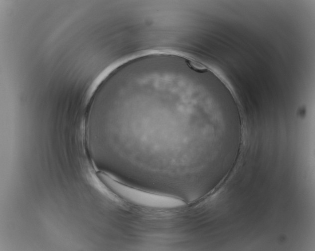 X0000112911100200909071529