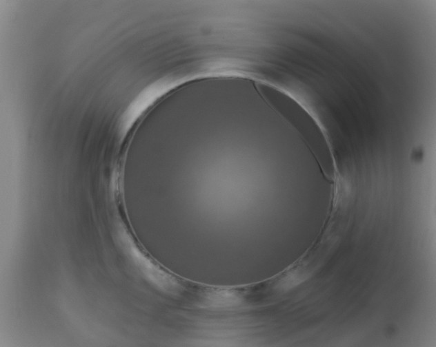 X0000112911101200909071528