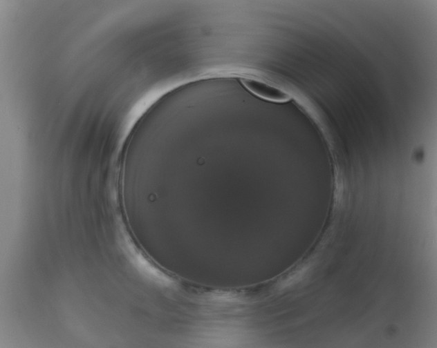 X0000112911102200909071528