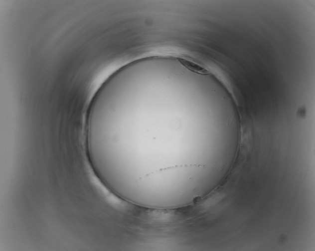 X0000112911103200909071528