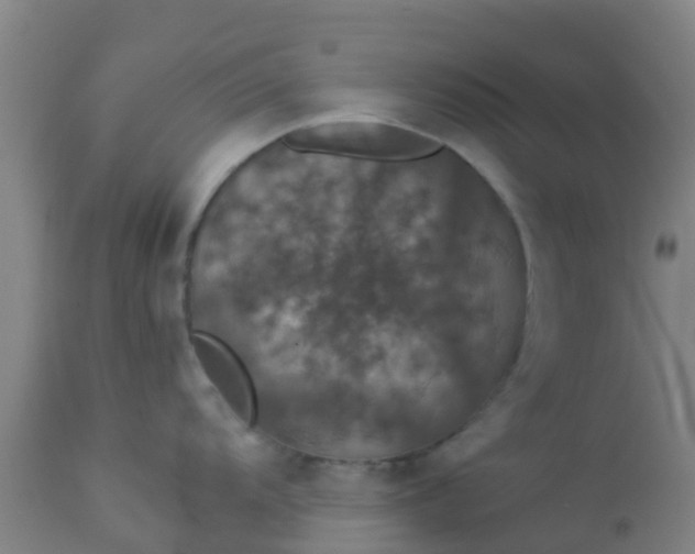 X0000112911104200909071528