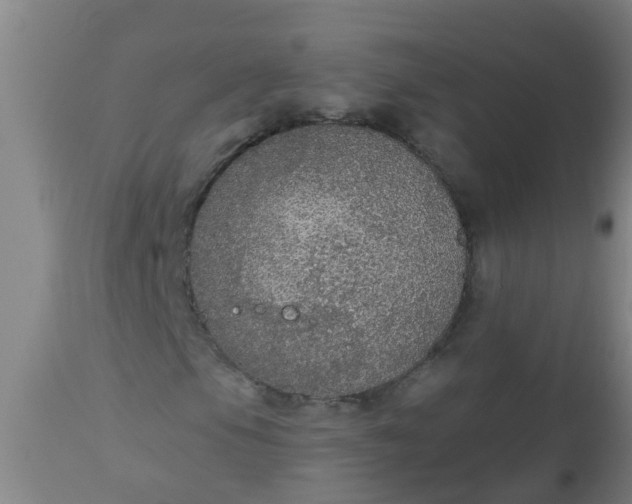 X0000112911105200909071528