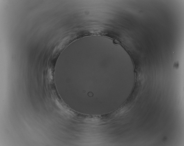 X0000112911106200909071528