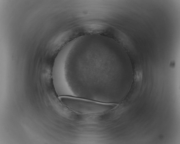 X0000112911108200909071528