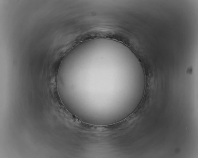 X0000112911109200909071528