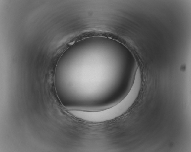 X0000112911110200909071528