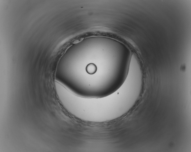 X0000112911112200909071528