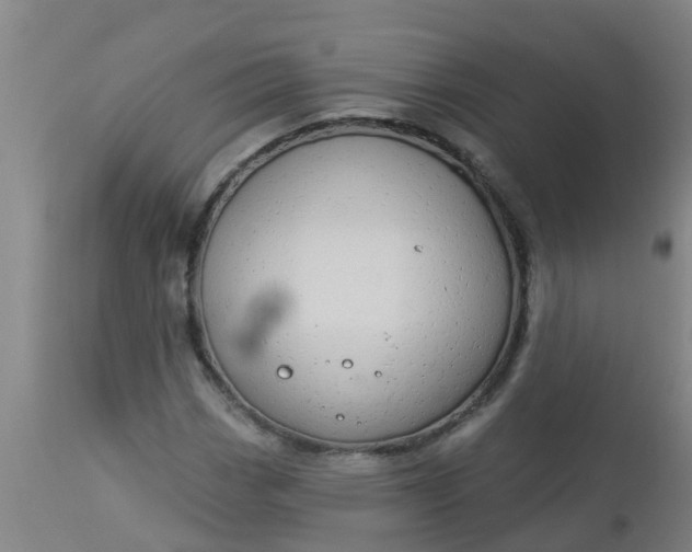 X0000112911113200909071528