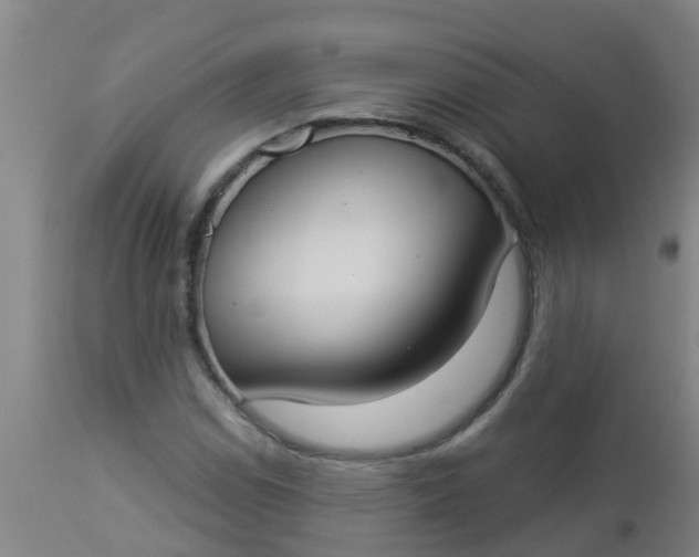 X0000112911114200909071528