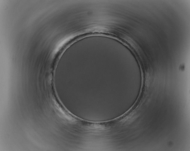 X0000112911115200909071528