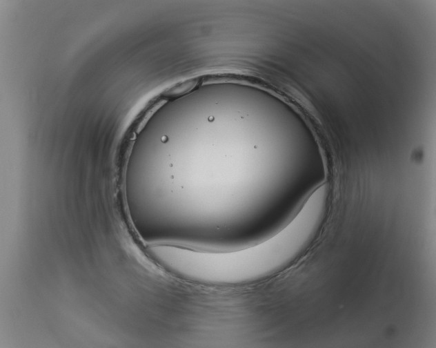 X0000112911116200909071528