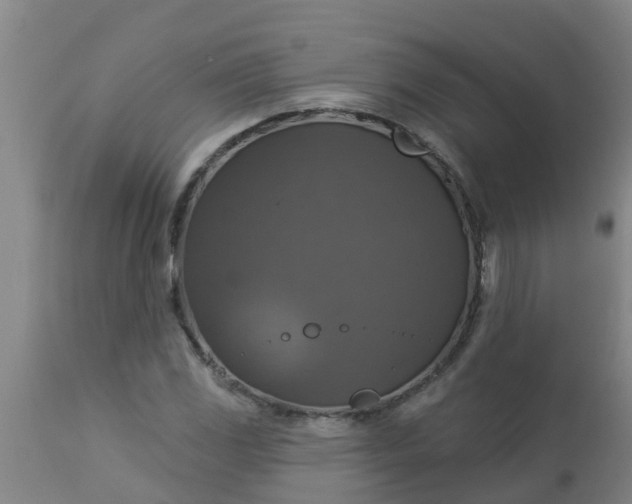 X0000112911117200909071528