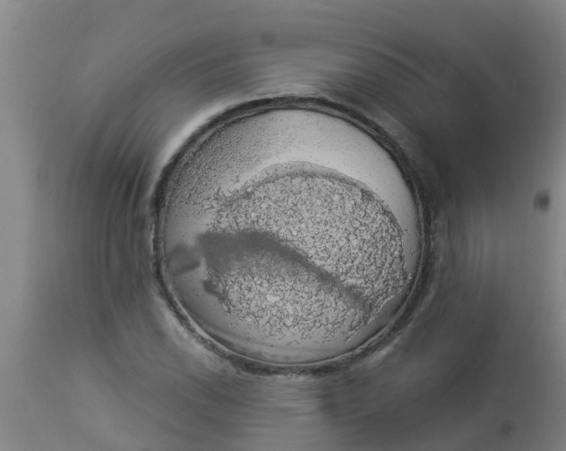 X0000112911118200909071528