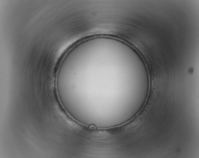 X0000112911119200909071528