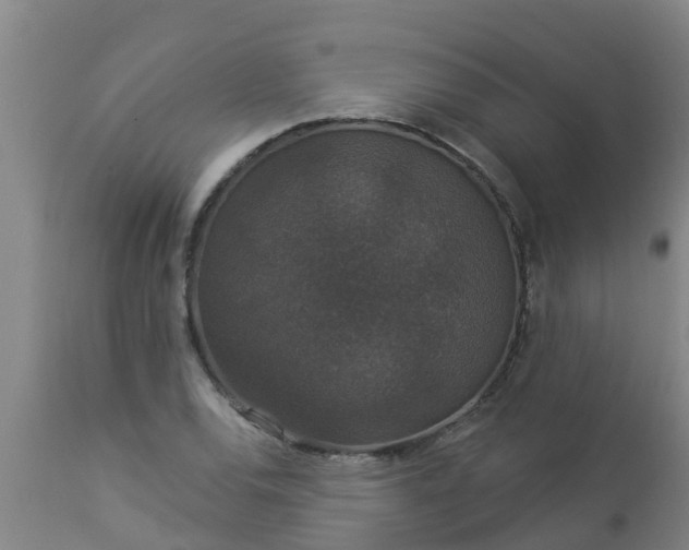 X0000112911120200909071528