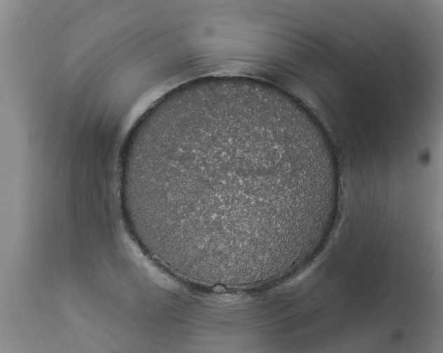 X0000112911122200909071528