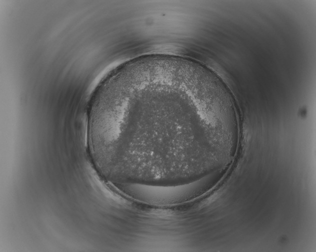 X0000112911123200909071528