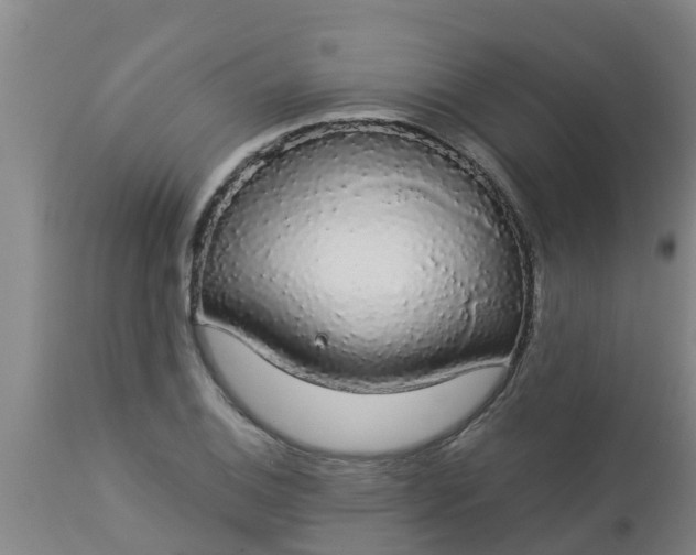 X0000112911124200909071528