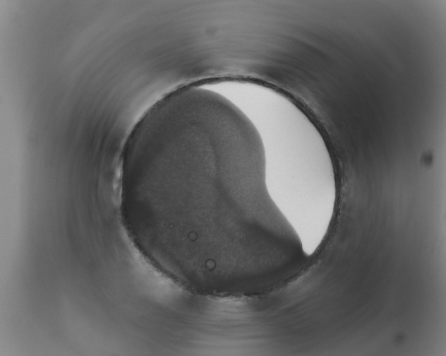 X0000112911126200909071528