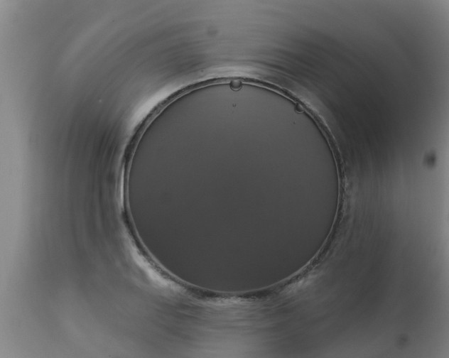 X0000112911127200909071528