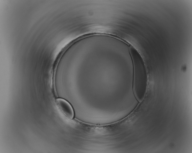 X0000112911128200909071528