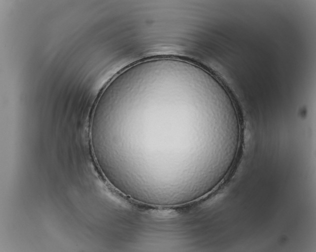 X0000112911129200909071528