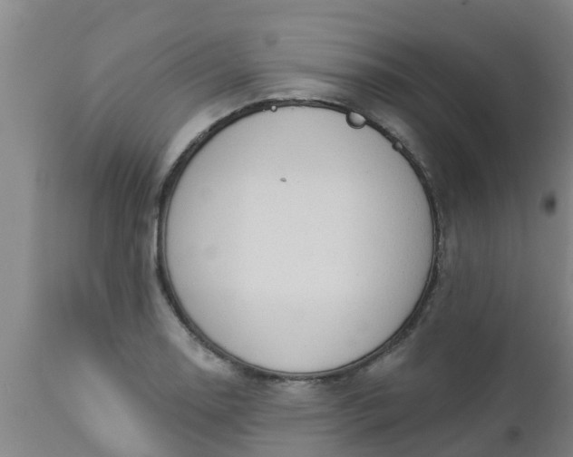 X0000112911130200909071528