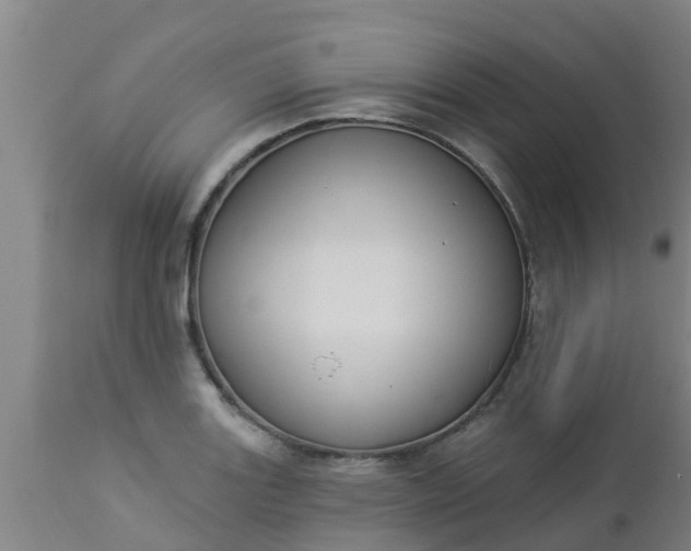 X0000112911131200909071528